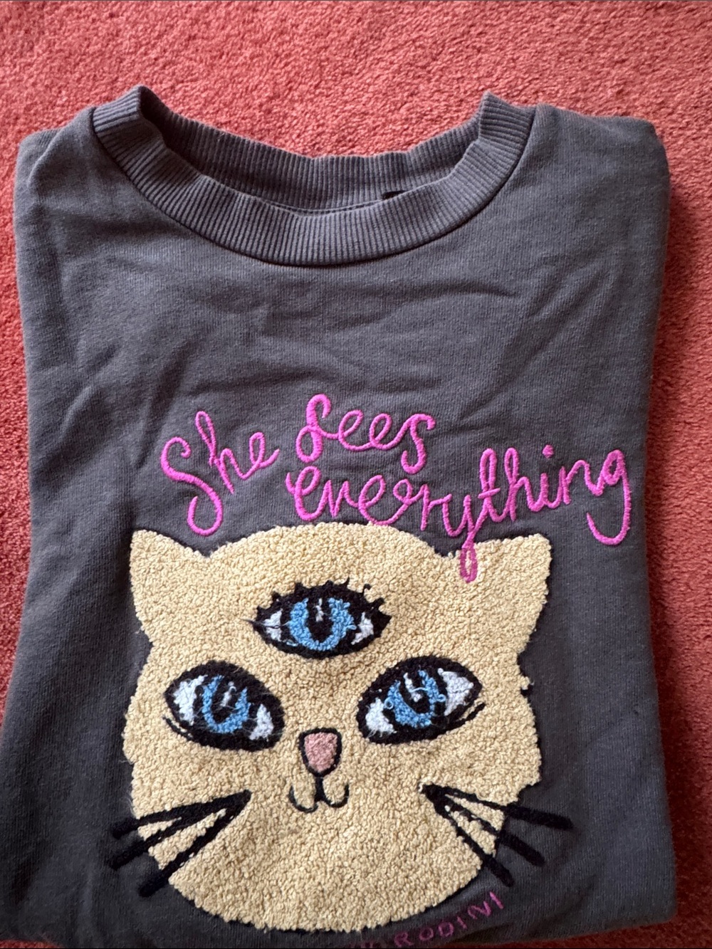 Mini Rodini Gray Sweatshirt with Pink Script & Cream Cat Face